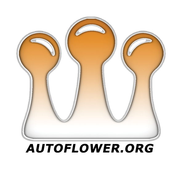 www.autoflower.org