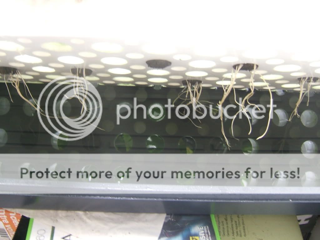 DSCF1731.jpg