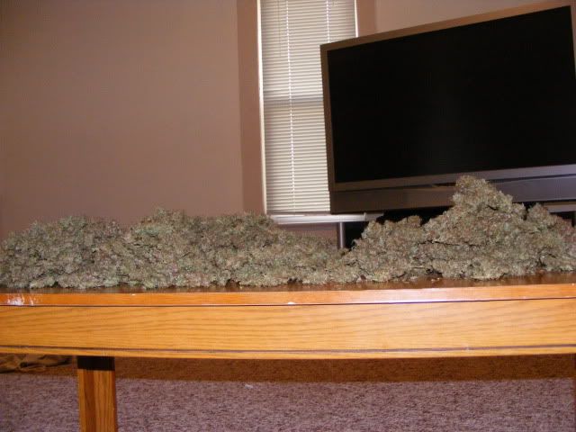 projects043-2.jpg