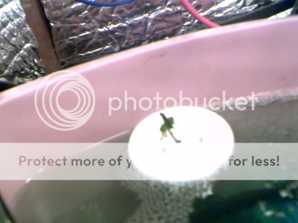 2009-03-23-73905.jpg