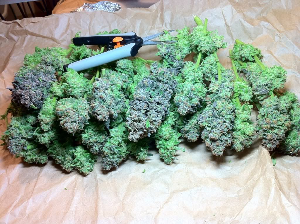 45f7ef11.jpg