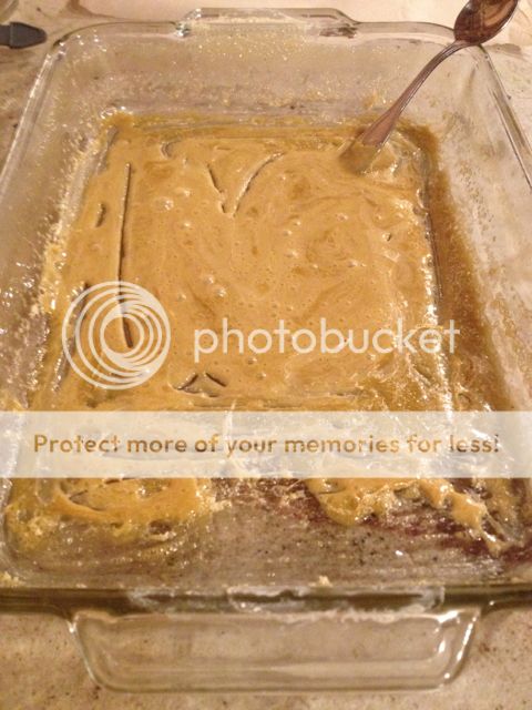IMG_0849_zpsa534d291.jpg