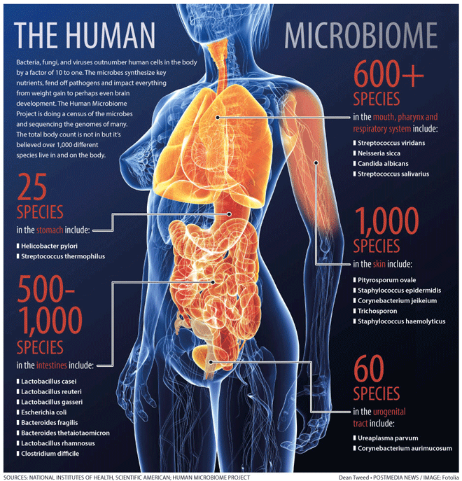 microbiome_preview_660px.gif