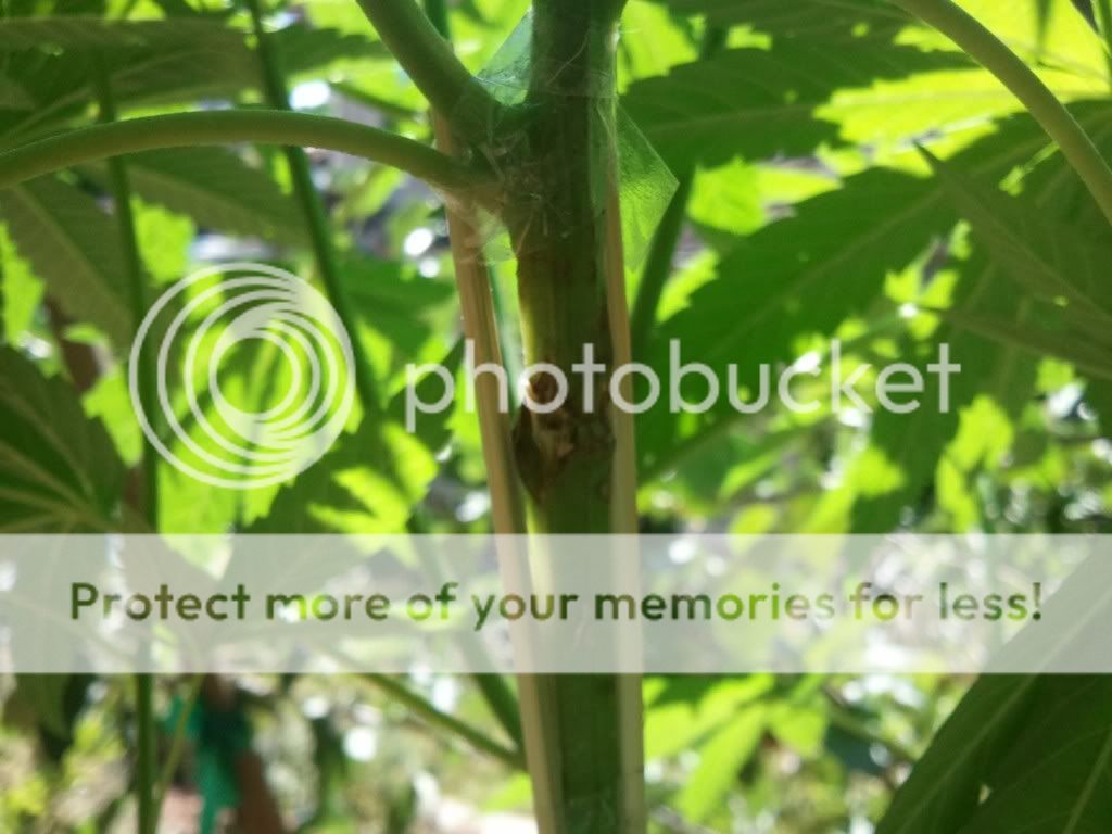 WP_000217.jpg