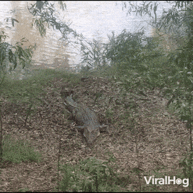 1677763271_14.gif