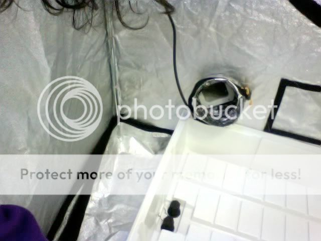 Photo14.jpg
