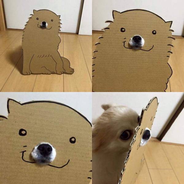 acid_picdump_78.jpg
