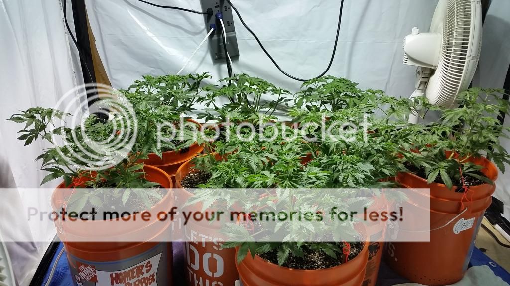 20141220_2107151_zps04b167cd.jpg