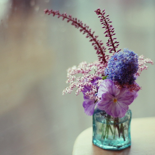 tumblr_liiirj8OL51qb3edao1_500.jpg