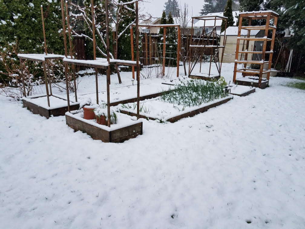 snow314.jpg