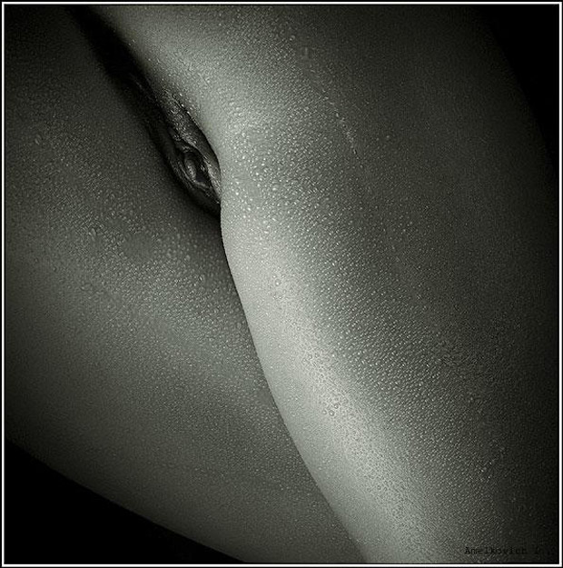 artepeb_01.jpg