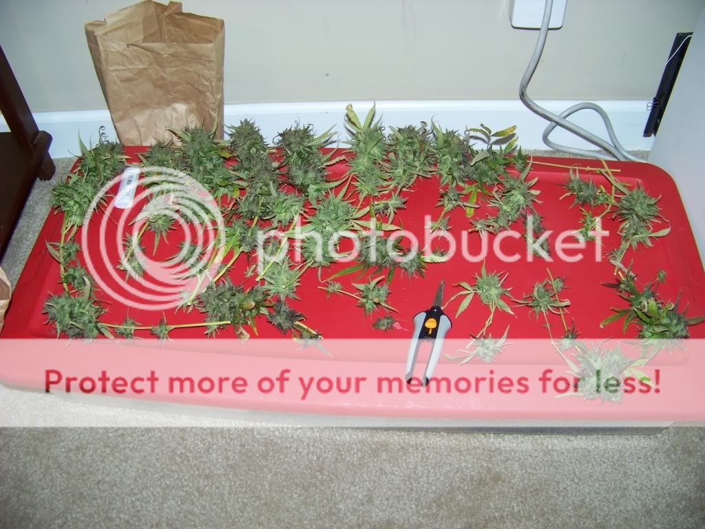 TNR8-Outdoor.jpg