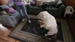 gifs_20.gif
