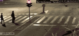 83805823.gif