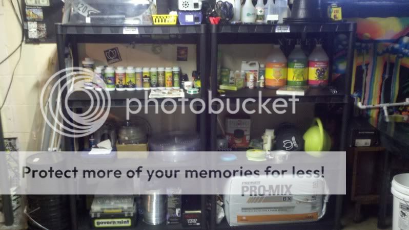 2011-08-03_15-02-16_626.jpg