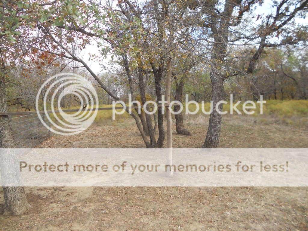 DSCN5620.jpg