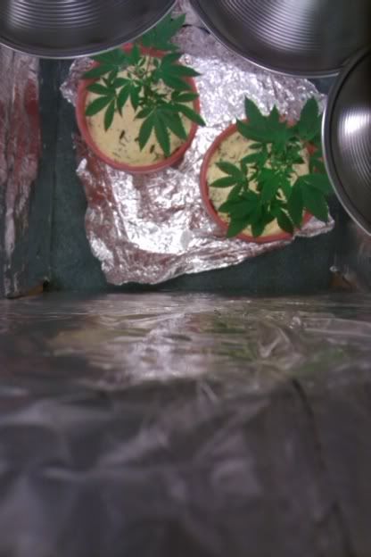 57cb27ca.jpg
