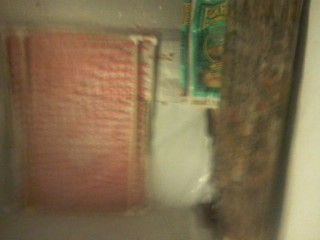 phenohunt006_zpsf2fee5f5.jpg