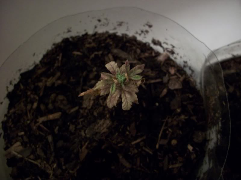 100_0502.jpg
