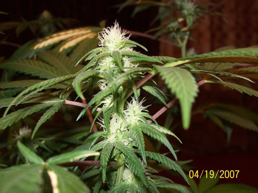 100_8565.jpg