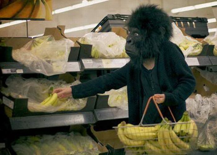 acid_picdump_46.jpg