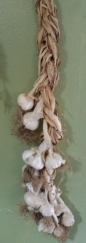 garlic.jpg