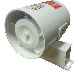 31CYUJX9rbL.jpg