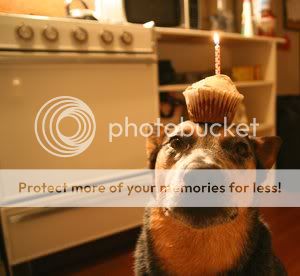 cupcake-1.jpg