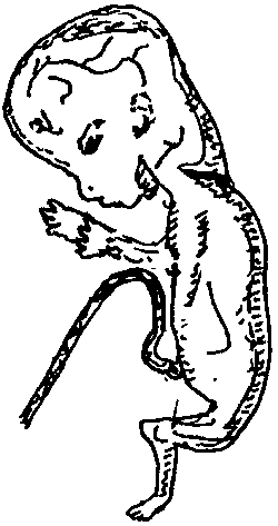 Image17.gif