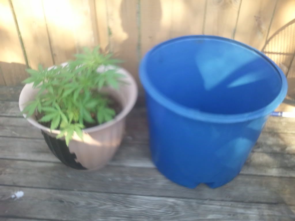 2012-05-16170849.jpg
