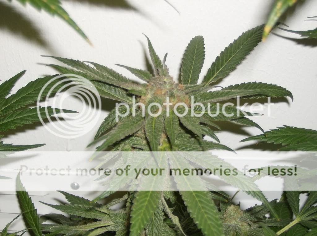 ImportedPhotos00168.jpg