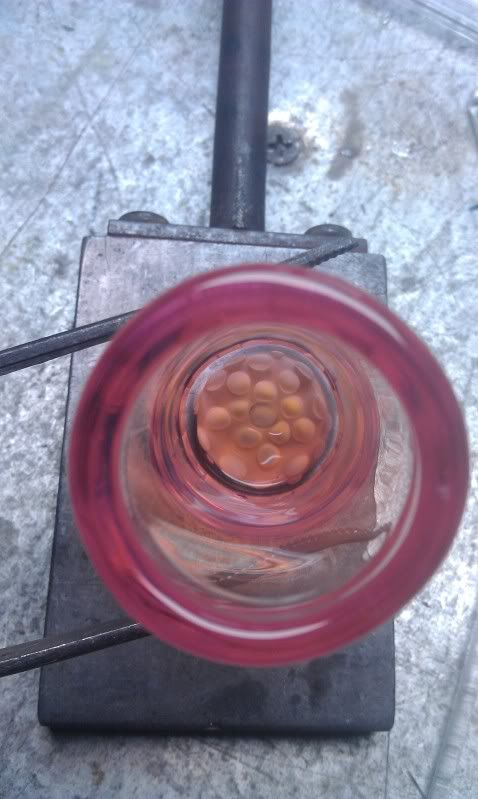 IMAG0744.jpg