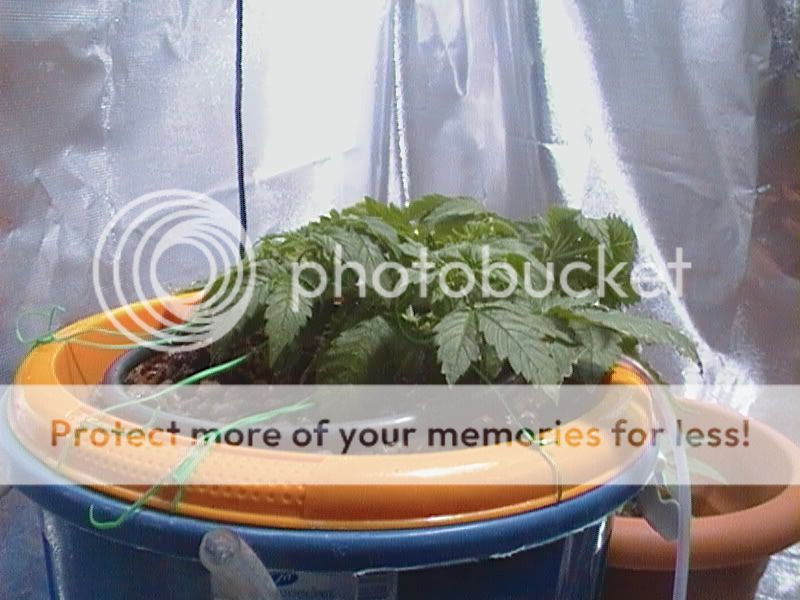 CAM_0126.jpg