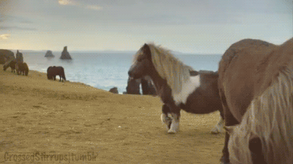 GDv1.gif