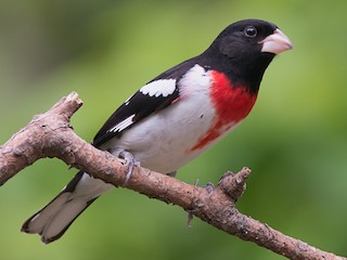 320