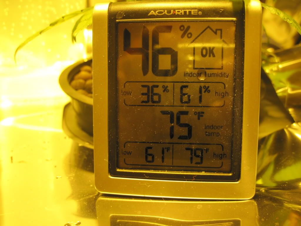 IMG_0621.jpg