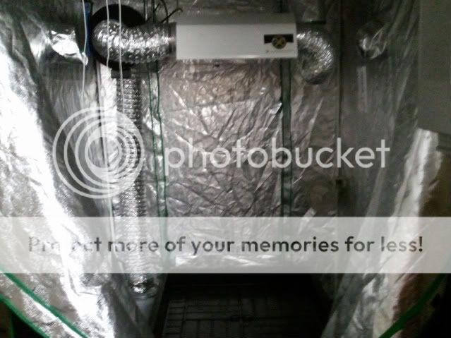 2010-12-25005349.jpg