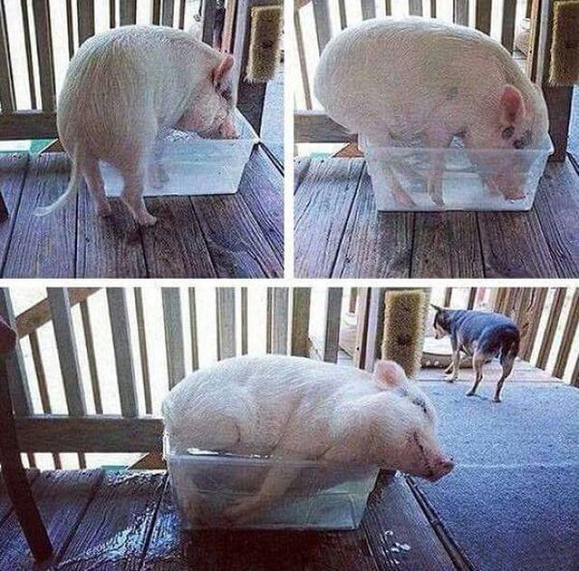 acid_picdump_100.jpg