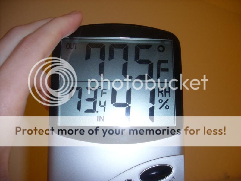 Picture029-9.jpg