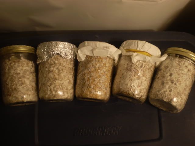 PB130236.jpg