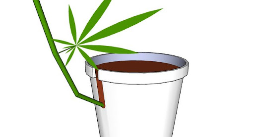 potcloseup.jpg