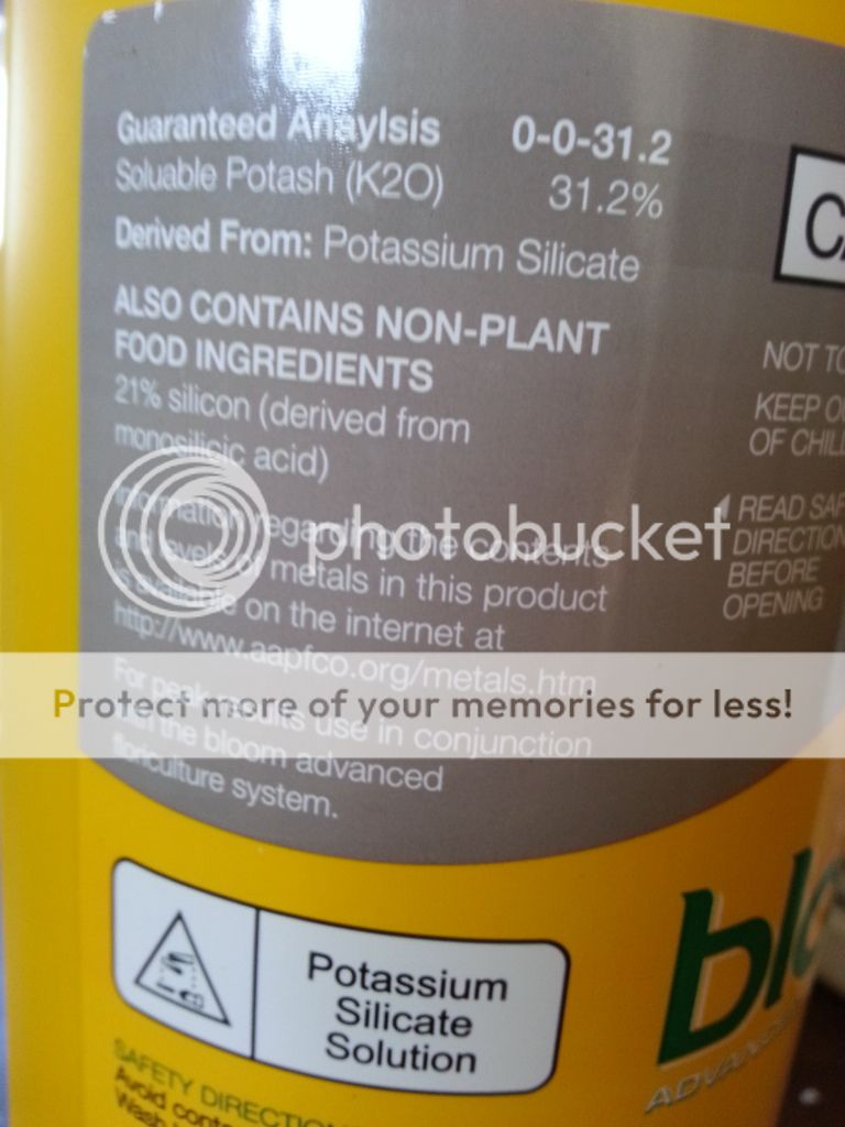 20130518_163743_zpsf717de88.jpg