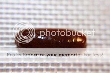 IMG_1069_zps2289b539.jpg