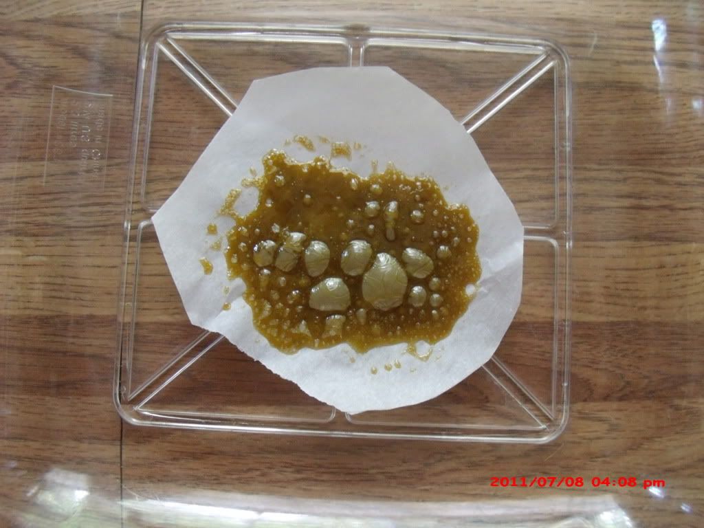 GEDC0994.jpg