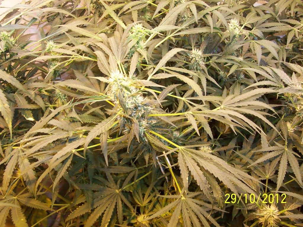 100_2812.jpg