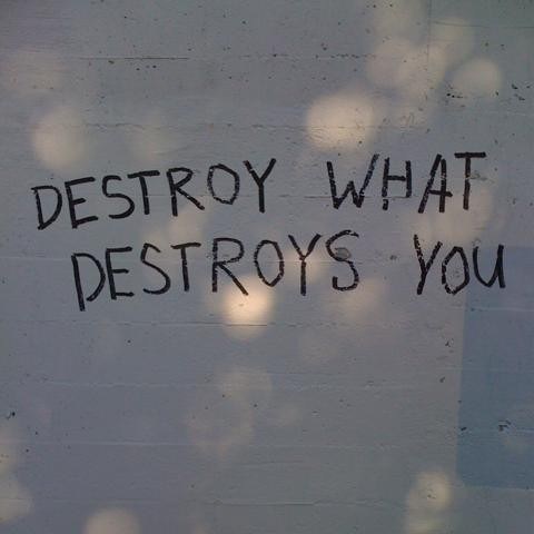 tumblr_la6zz0ZehQ1qzvwqvo1_500.jpg