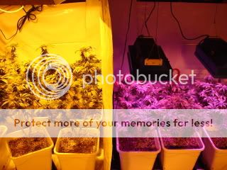 DSC04800.jpg