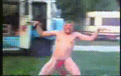 giphy.gif