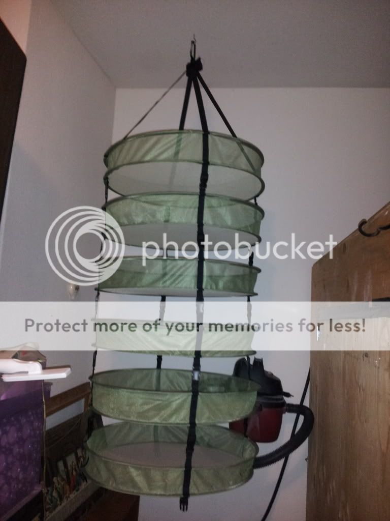 20130113_155943.jpg