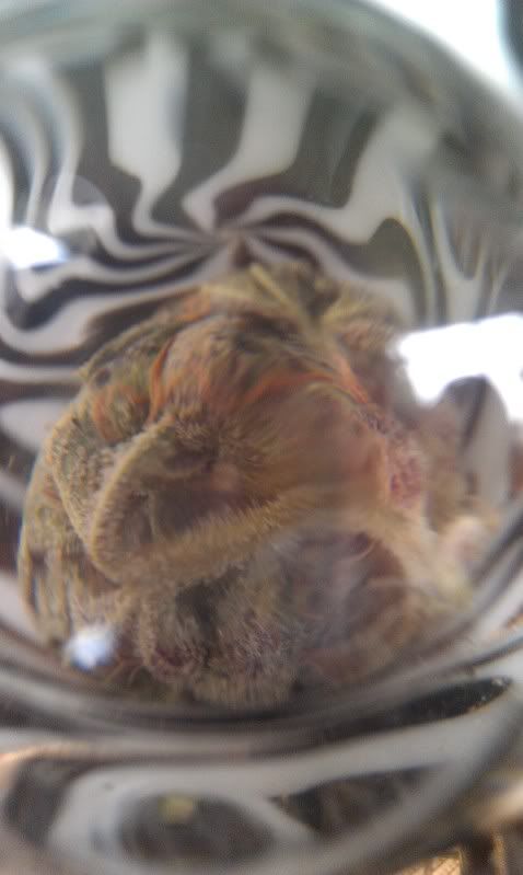 IMAG0253.jpg